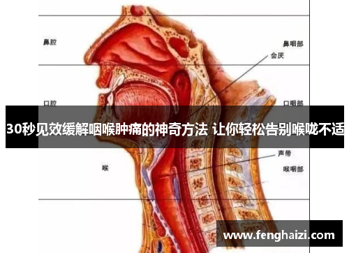30秒见效缓解咽喉肿痛的神奇方法 让你轻松告别喉咙不适