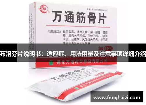 布洛芬片说明书：适应症、用法用量及注意事项详细介绍